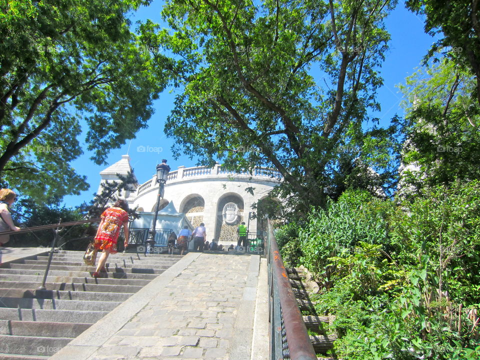 Tree, Travel, Park, Summer, Architecture