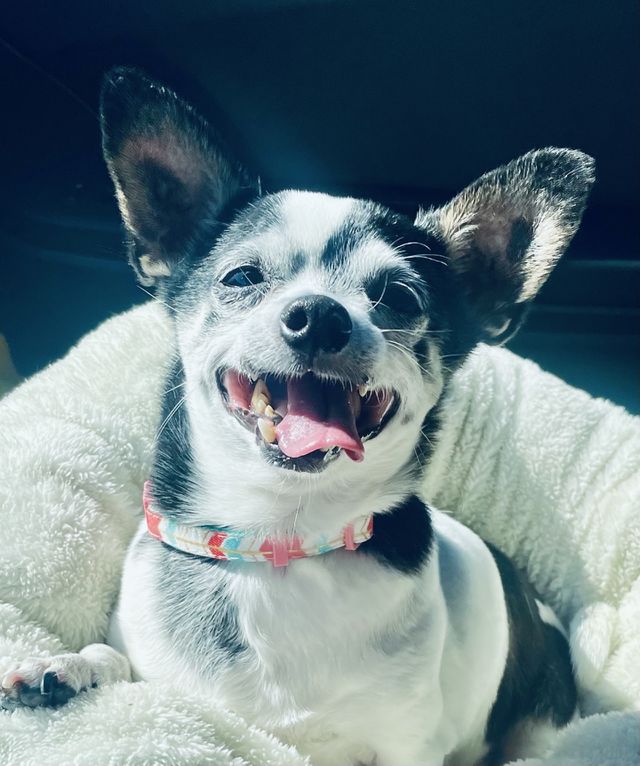 Happiness 