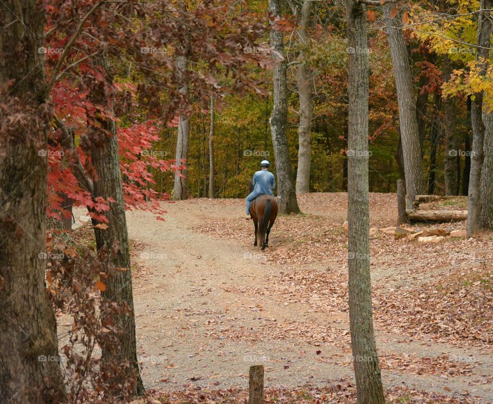 Fall Trail Horseback Riding 