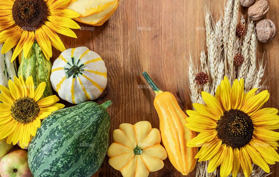 Flat lay with sunflowers, gourds & wheat