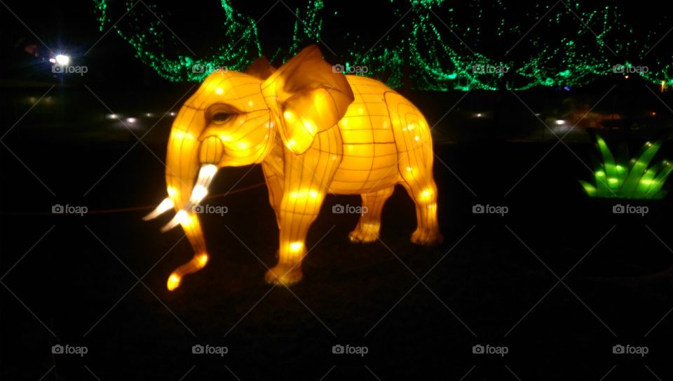 Chinese lantern elephant