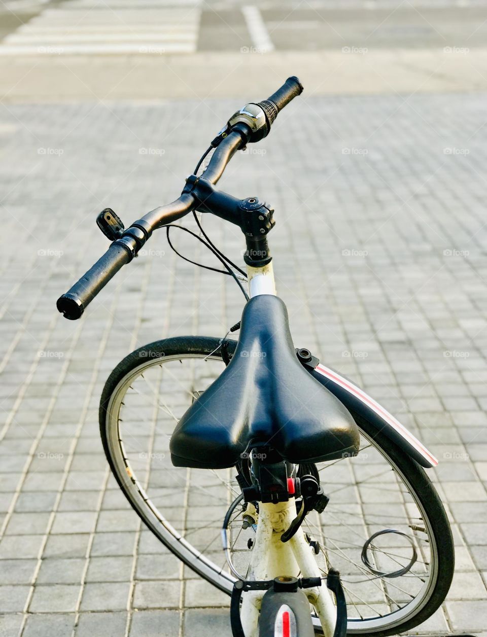 Two wheels, one love!🚲