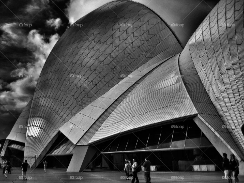 Architecture. Sydney Opera House