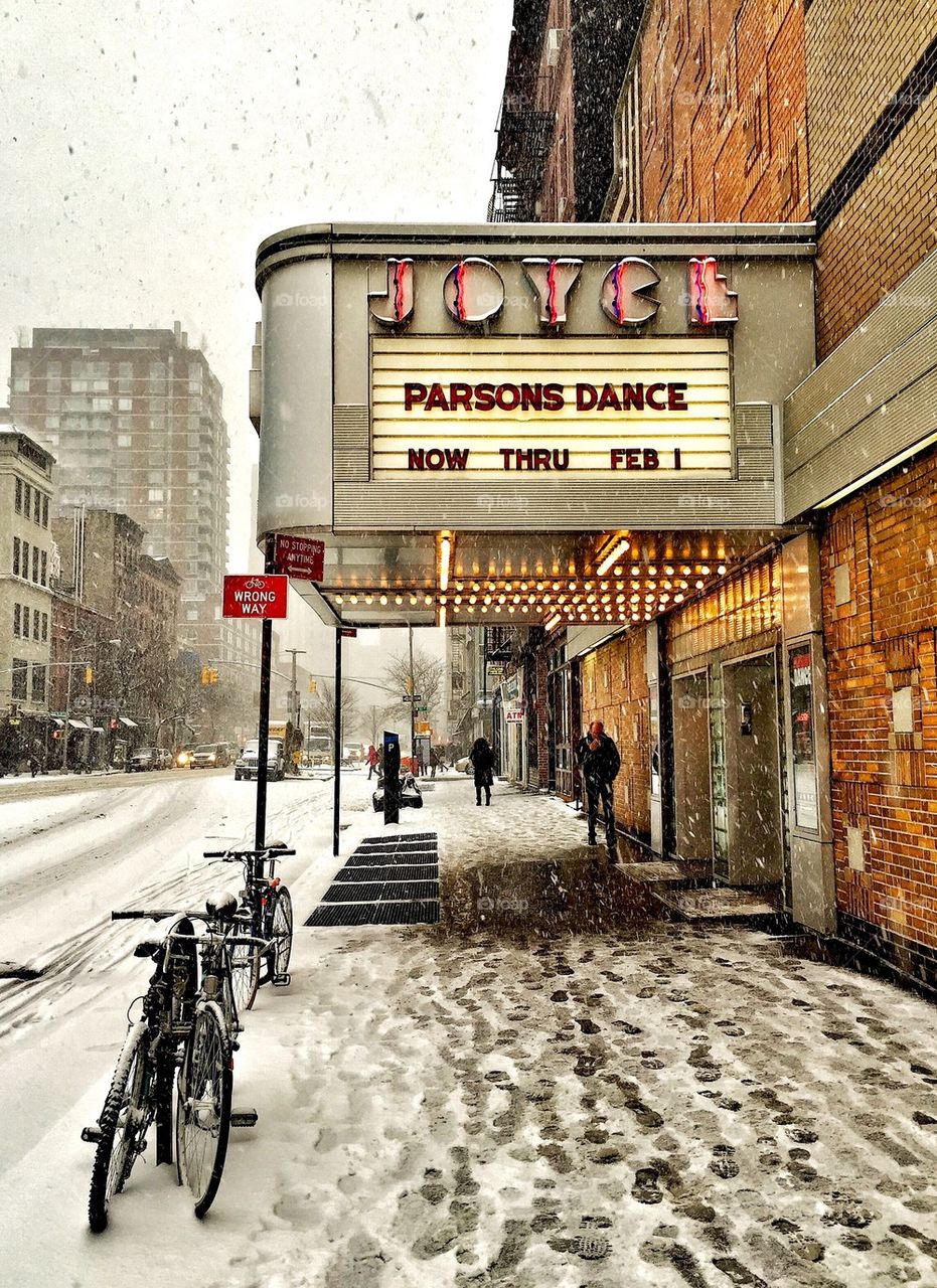 Joyce Theater 