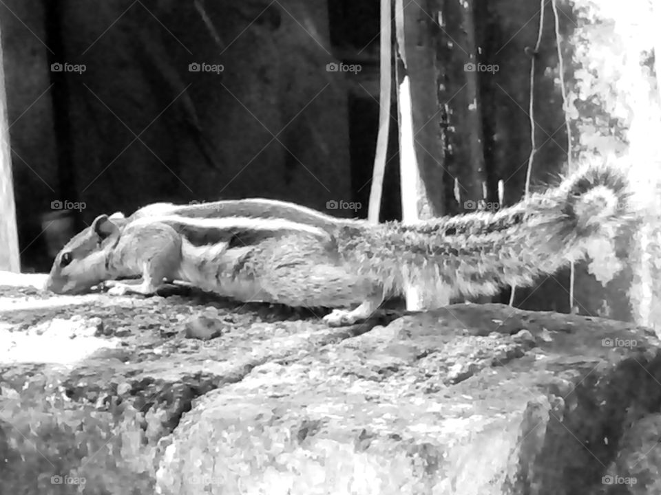 b&w picture,best b&w pics,Nice photo,Natural photo,Memorable photo,A wonderful photo,A beautiful photo,Amazing photo,Best photo,Real photo,A photo for you,Special photo for special,Very good photo for you,Preserve photo,Wow click photo