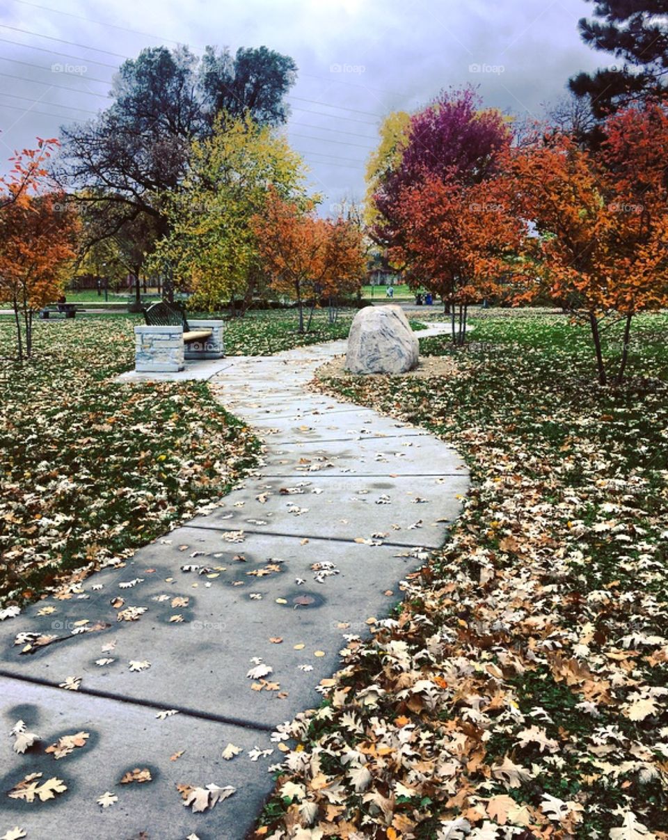 Fall in Minnehaha, Minnesota