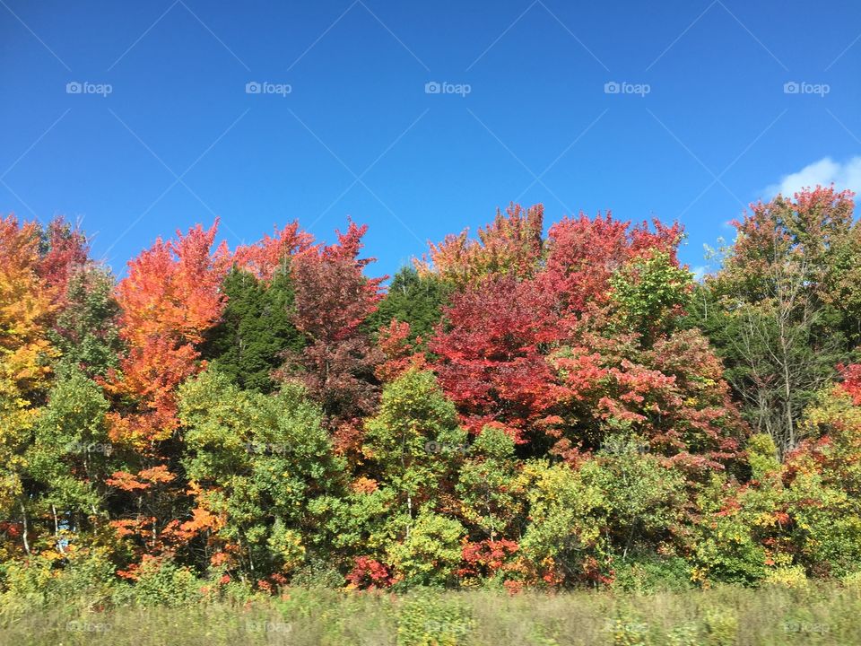 Fall in the Eastern Townships 