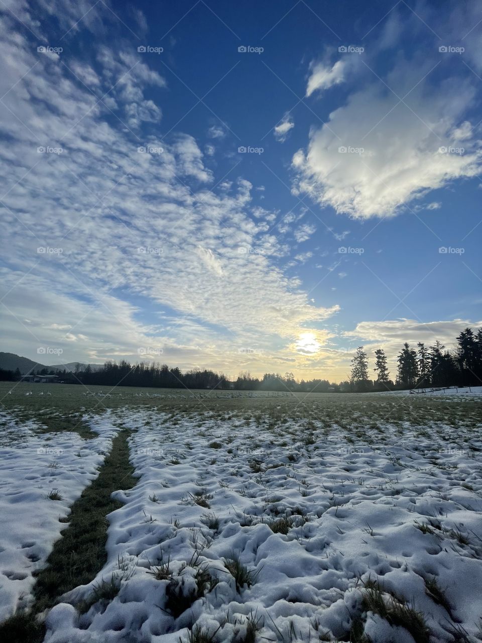  Beautiful sky and snowy ground