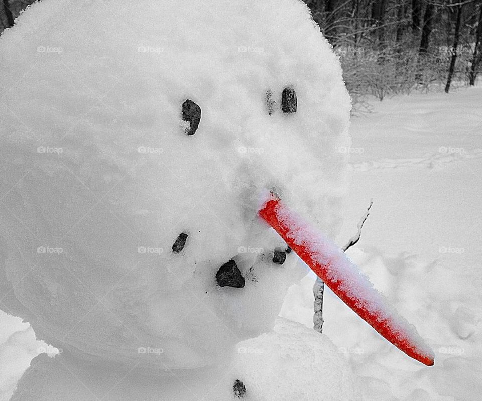 My dear snowman mission 
