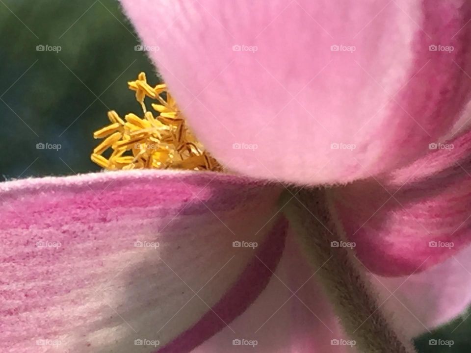 Let the shadows fall behind you 🌑