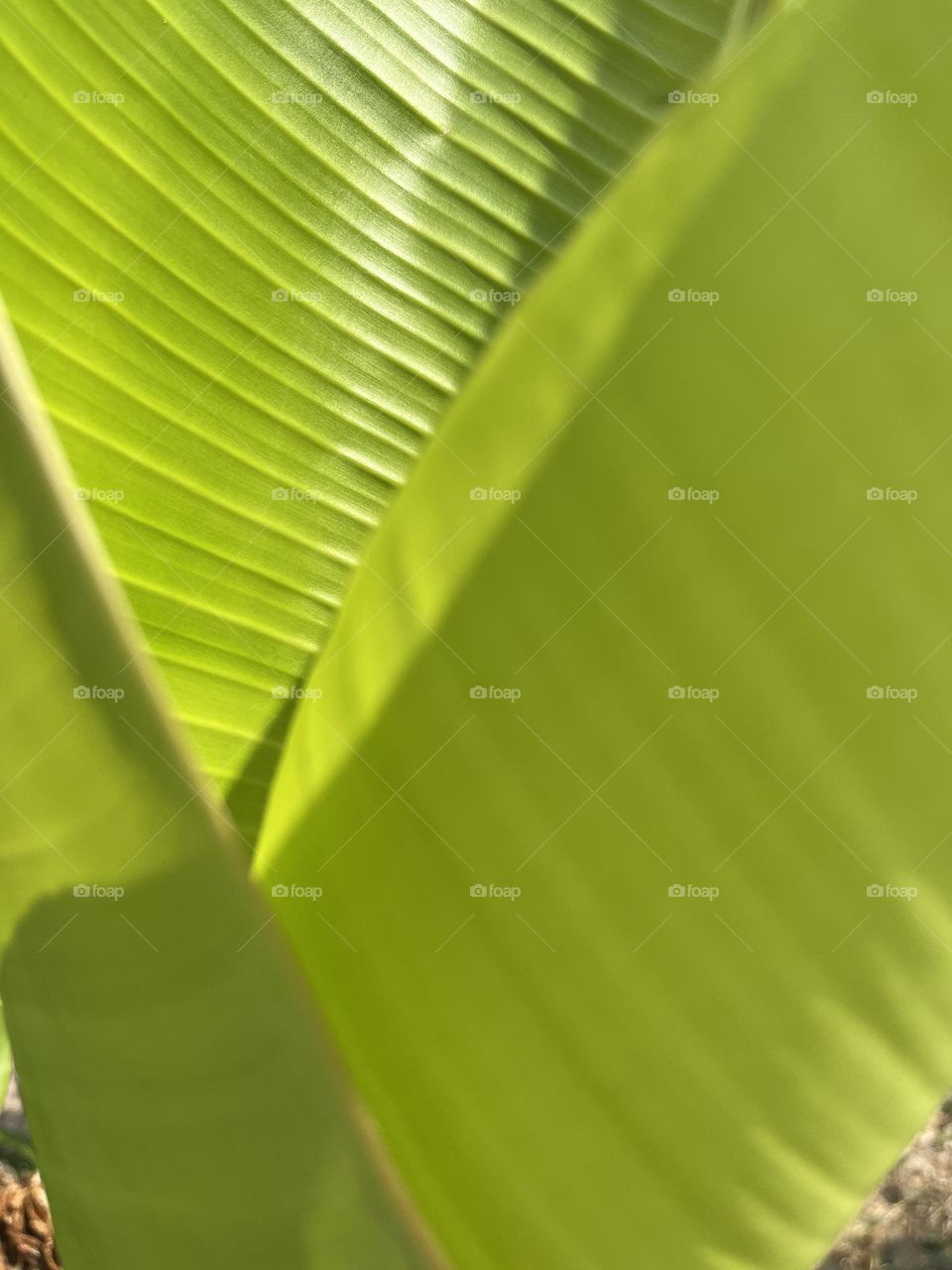   📷 Color Explosion 