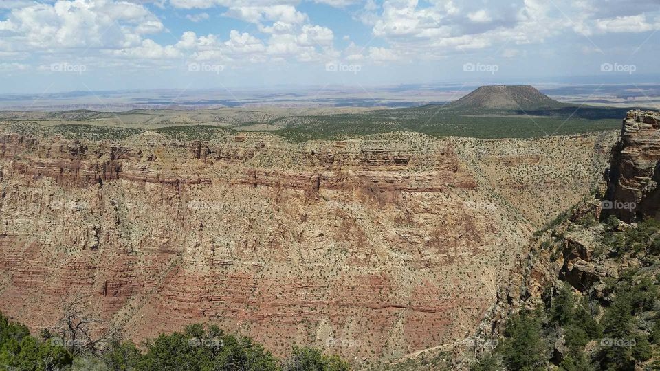 A view of the Grand Canyon