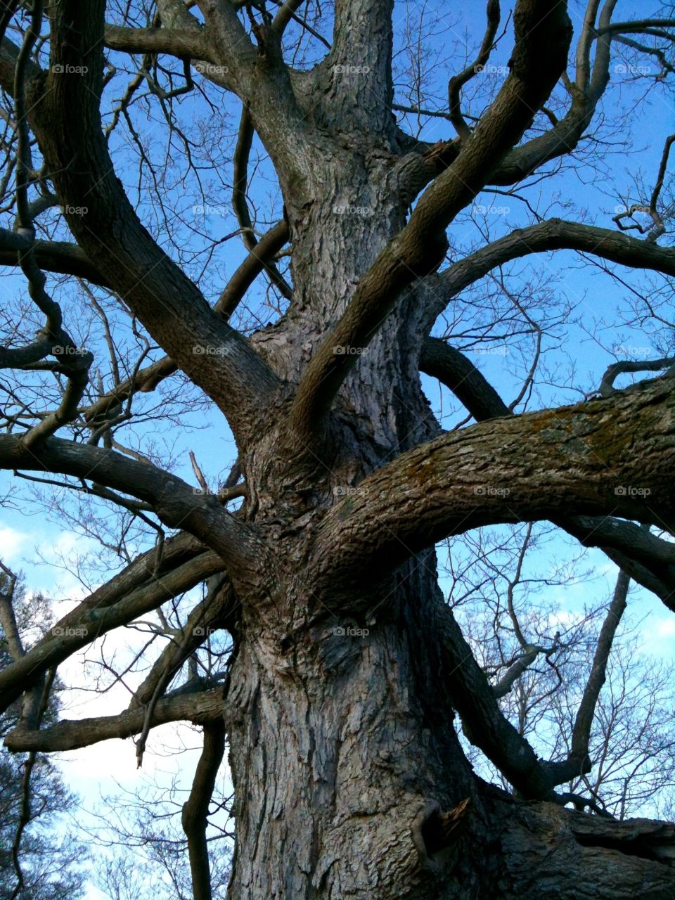 View from the ground up