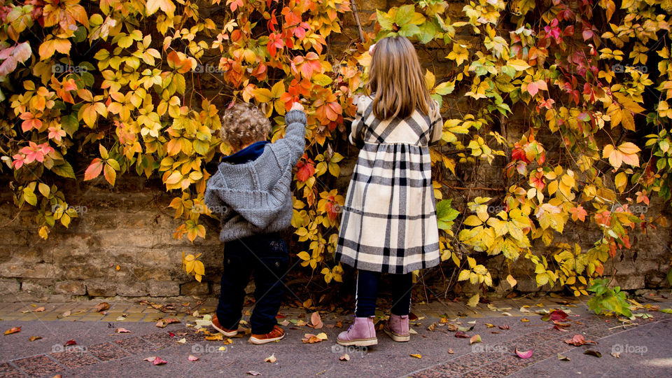 two kids enjoying fall. siblings in warm clothes enjoying autumn colorful leaves