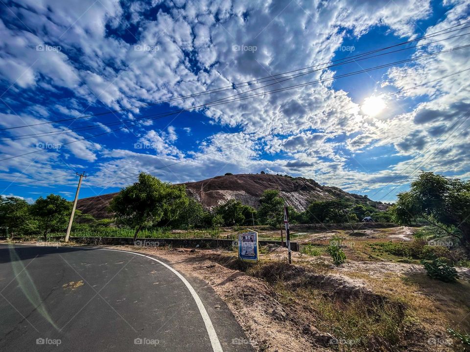 Road side nature photography 