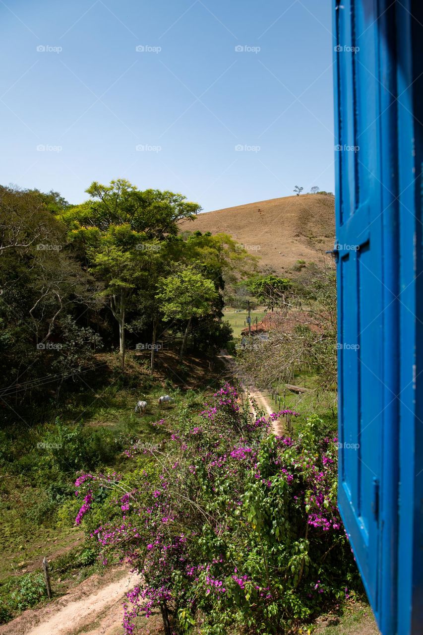 Window View to the Countryside