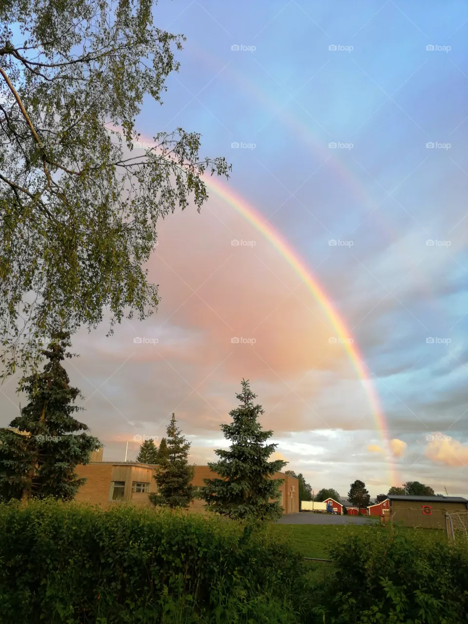 🌈❤️