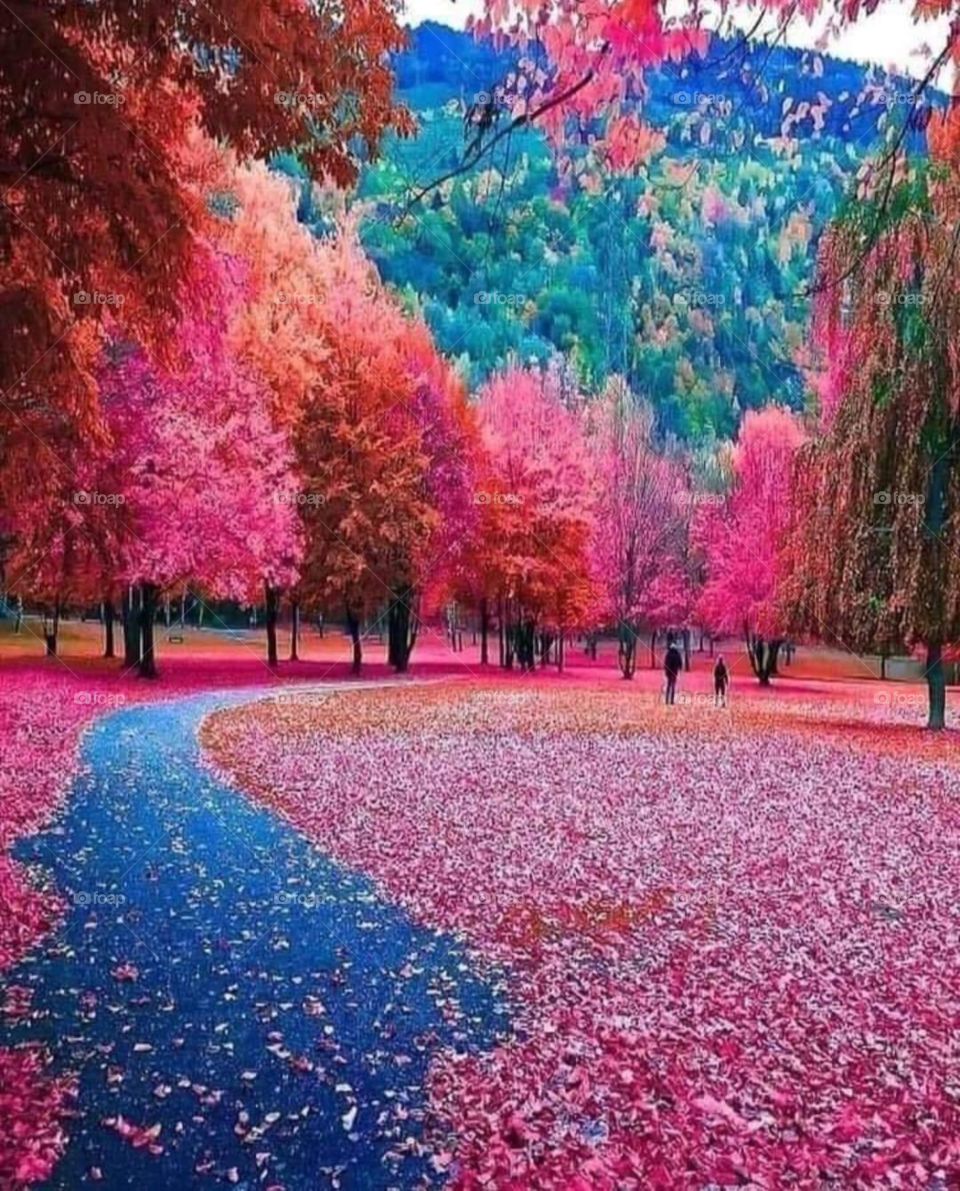Amazing Autumn in Switzerland 