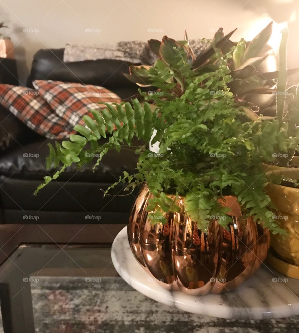 Lively fern in a metallic pumpkin shaped vase, plaid pillows are seen on the background. 