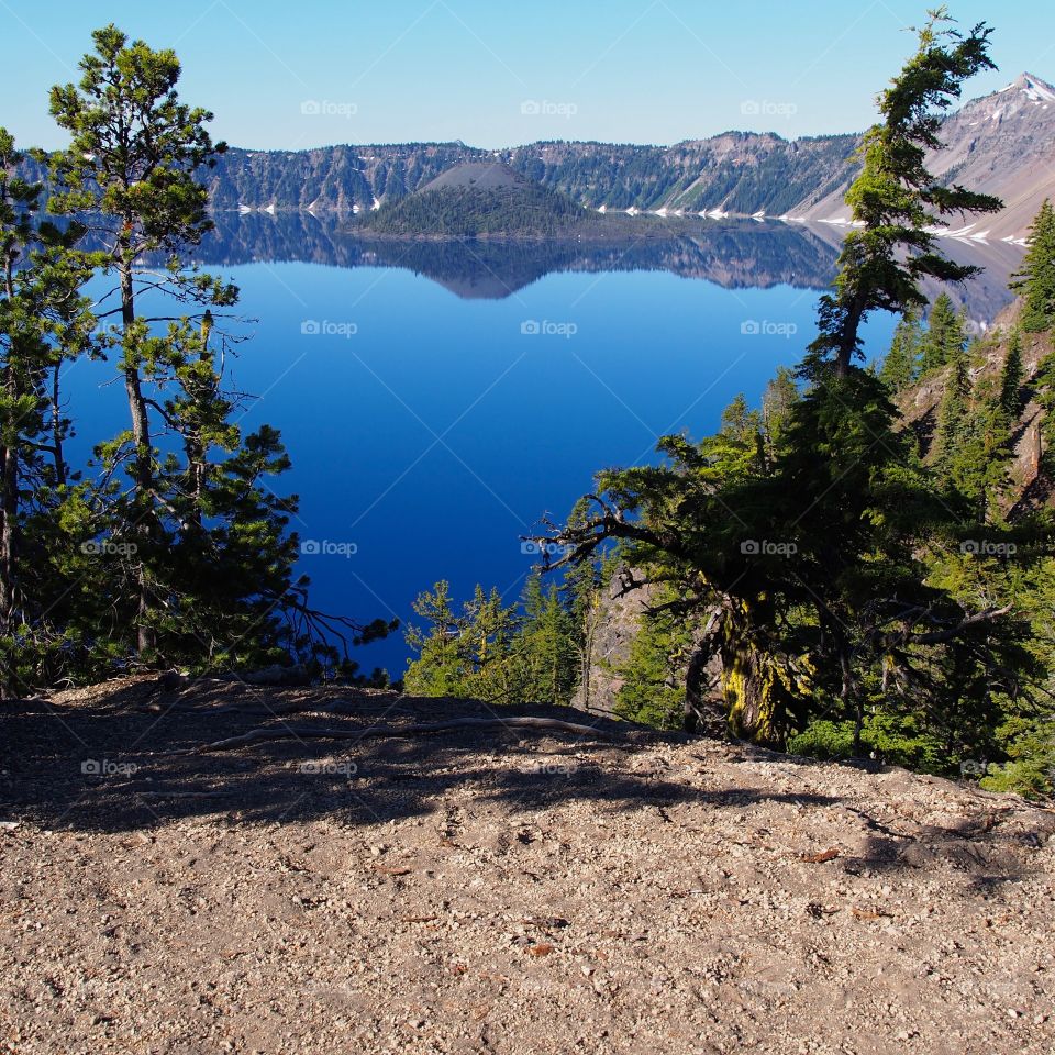 The rugged tree covered slopes of the rim of Crater Lake and Wizard Island in the distance across the lake in Southern Oregon on a sunny and clear summer morning. 