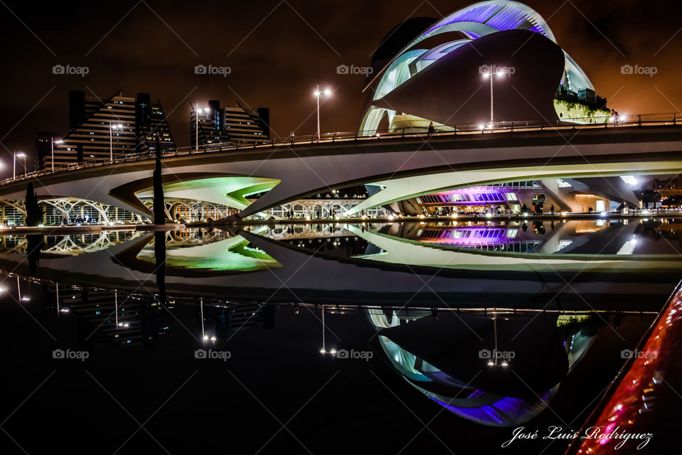 Ciudad de las Ciencias y las Artes
City of Sciences and Arts