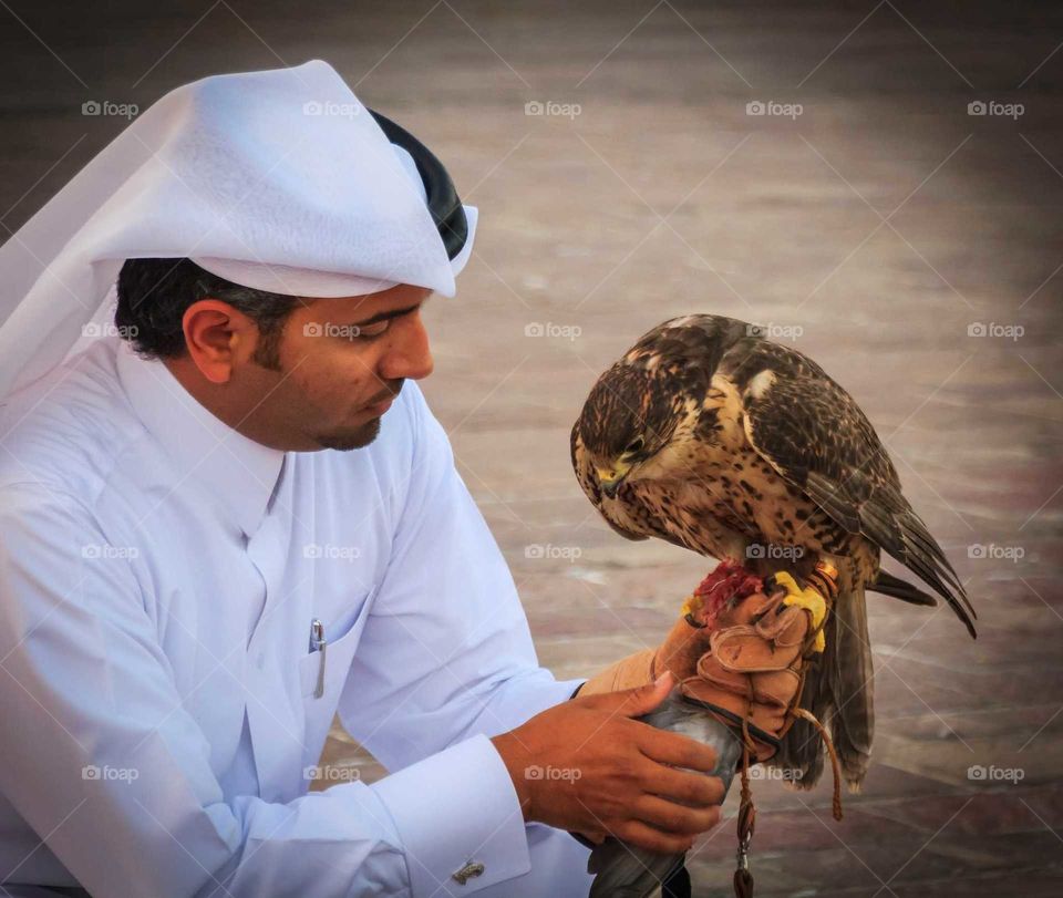 man and falcon