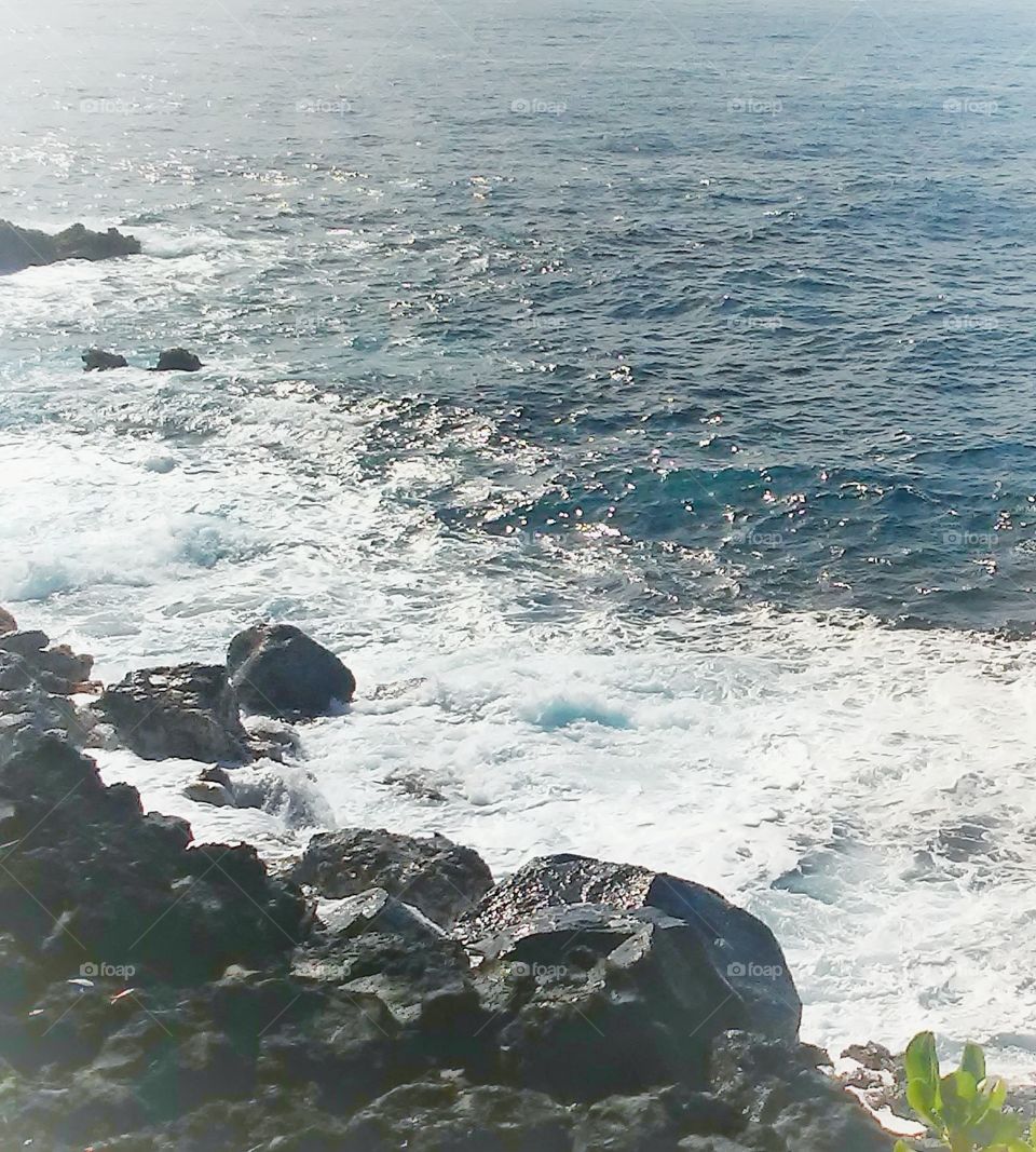 Big Isle East Coast 5