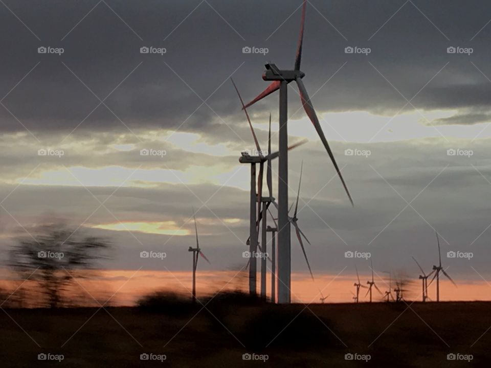 Oklahoma Wind Turbine Farm at Sunset
