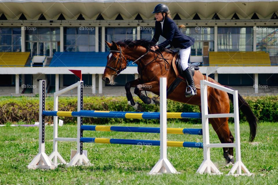 Male horse rider jumping over hurdle