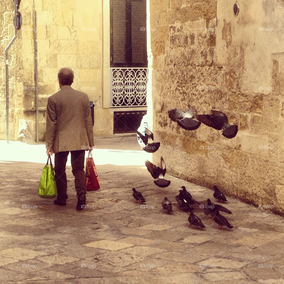 The man and the pigeons