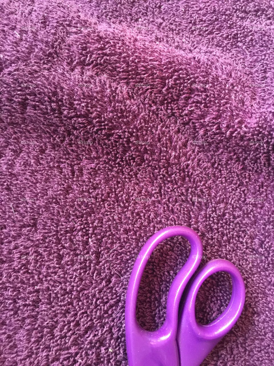 Purple story