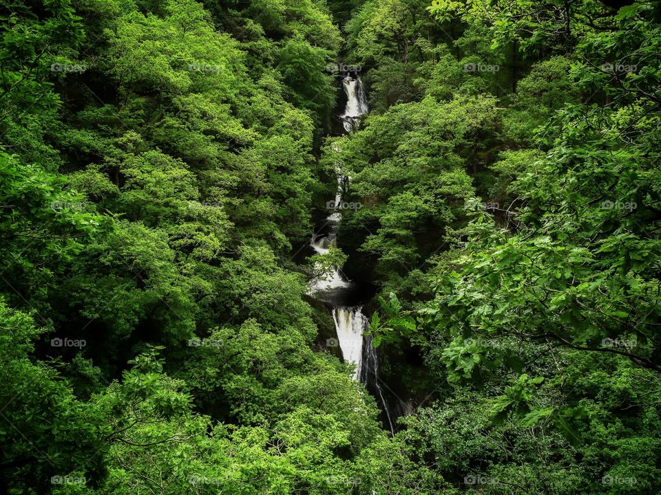 Pure nature. Beauty of the Devil's Bridge Falls. Wales. UK. Europe.