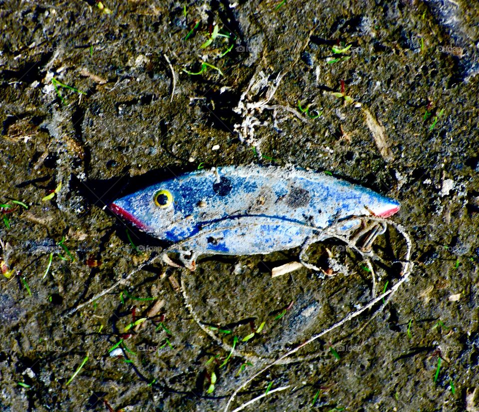Fishing at the bottom of the pond
