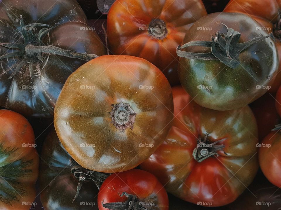 Ukrainian tomato
