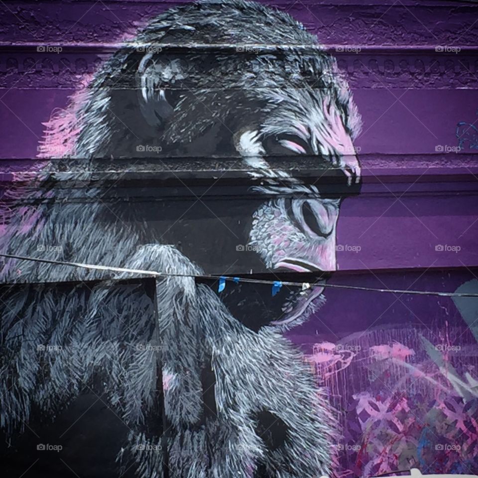 Gorilla Graffiti Art Taken In Miami, Florida 