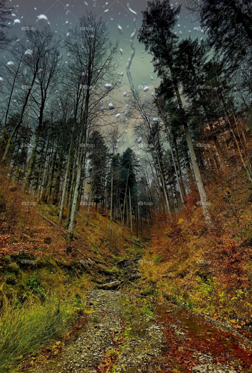 Hiking in Bielsko Biała 