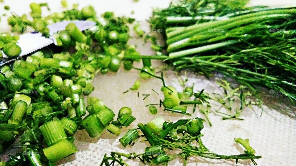 Dill or anethum graveolens  herb cut knife isolated