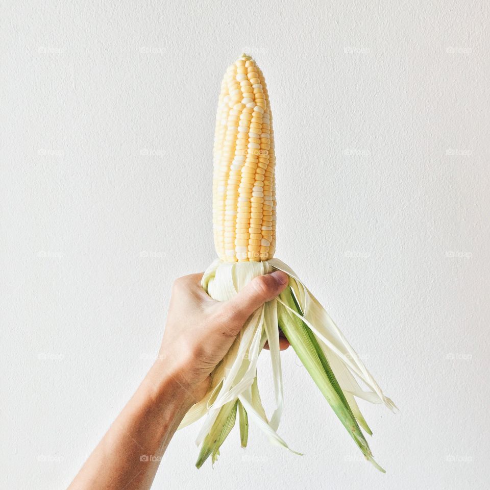 Close-up of hand holding corn