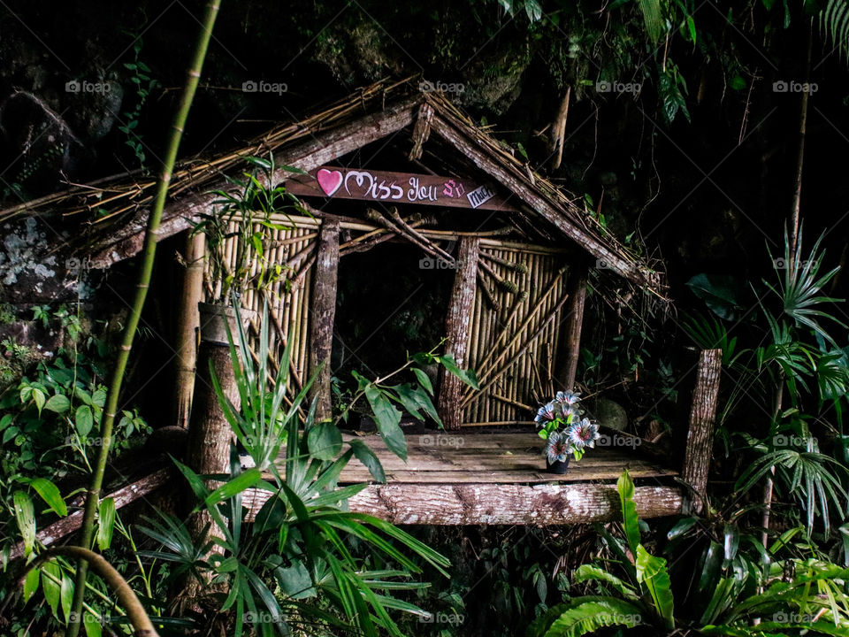 Horror? No,, it is beautiful