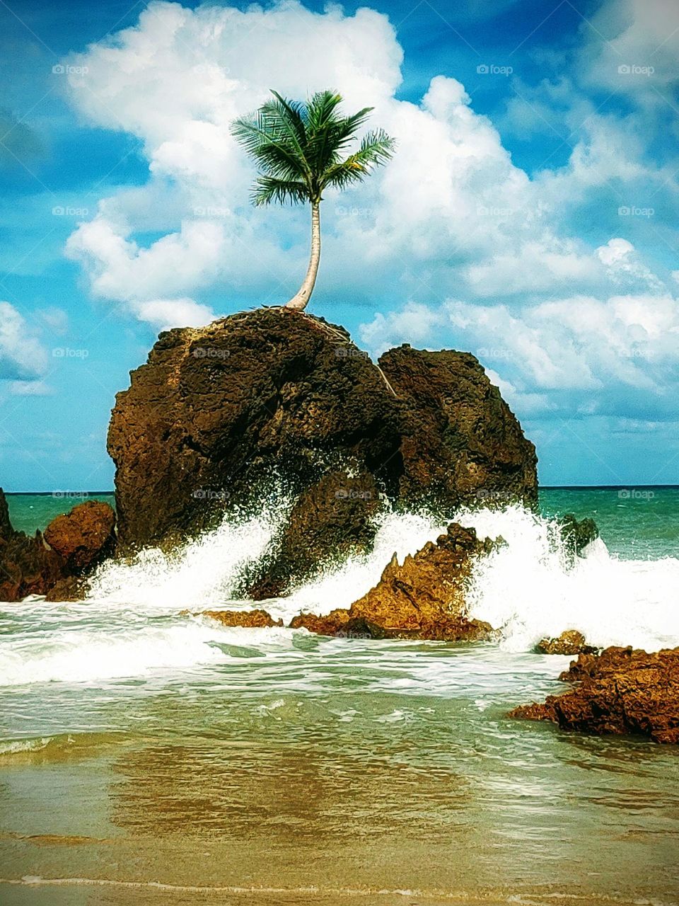 The lonely coconut tree on top of the rock is even more beautiful with the outline of a beautiful white cloud.