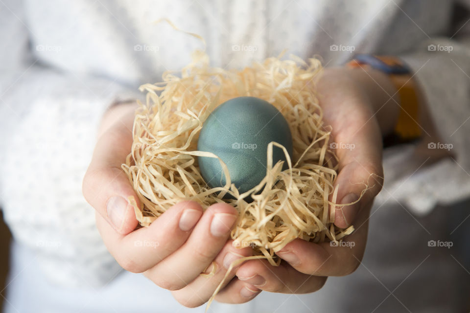 Easter concept. Boy holdind a nest with a blue egg in hands
