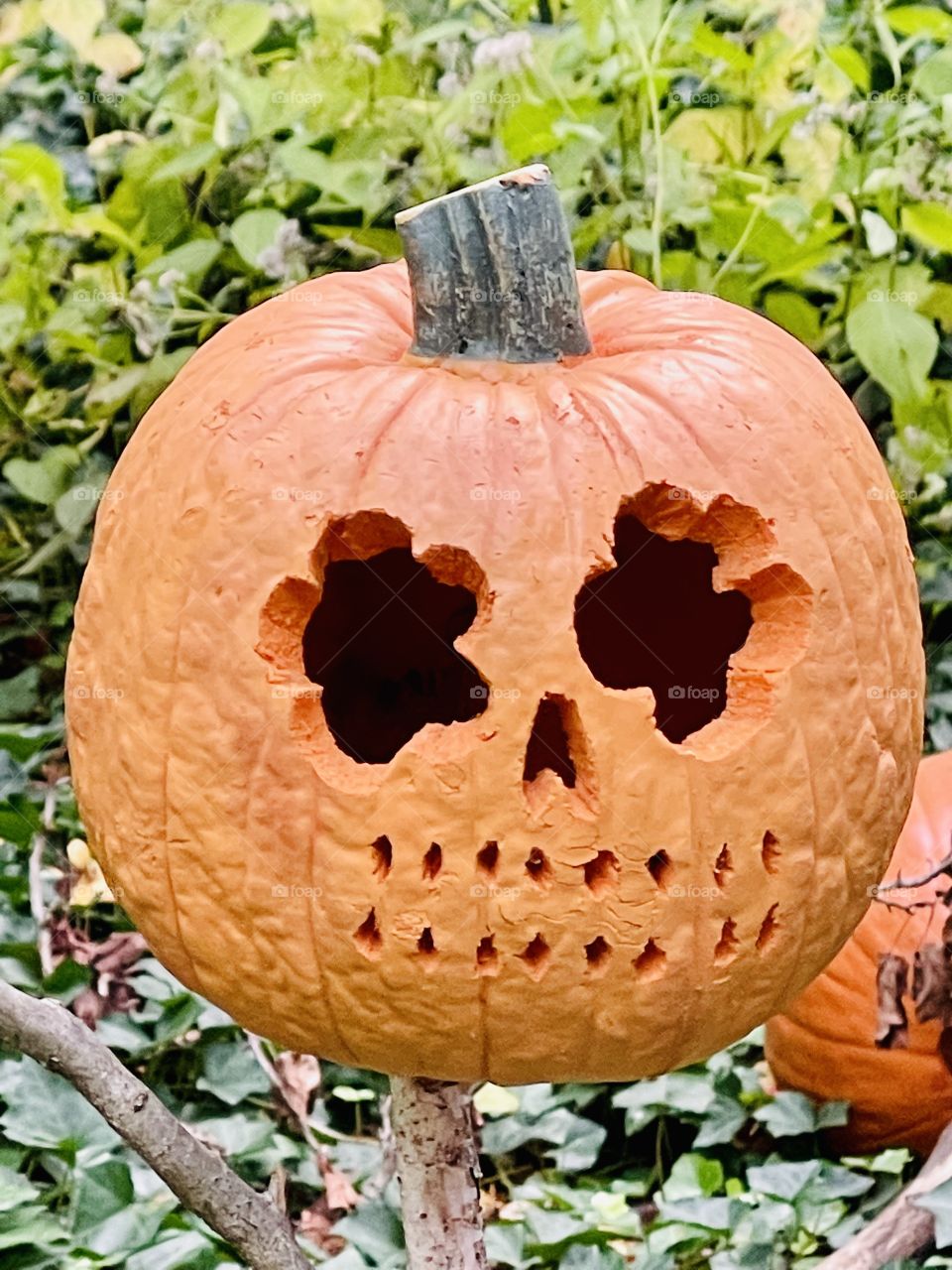 Halloween-Spooky Pumpkin head scarecrow in the landscape. 