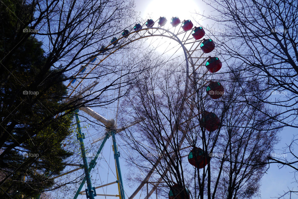 sun ferris wheel