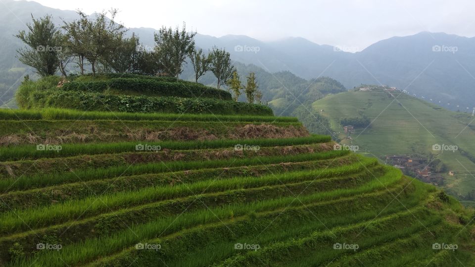 hill on rice terraces