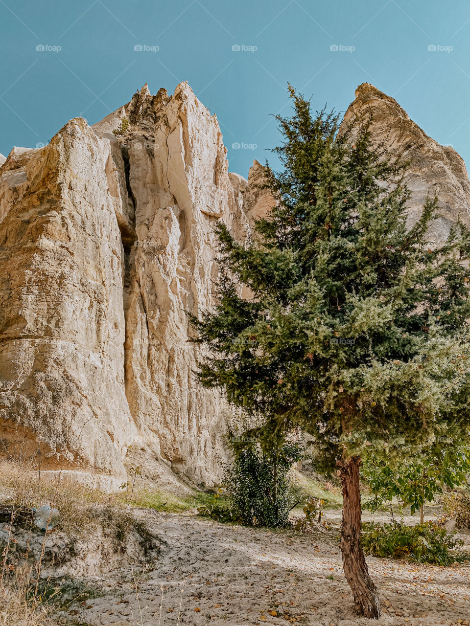 Mountain love valley 