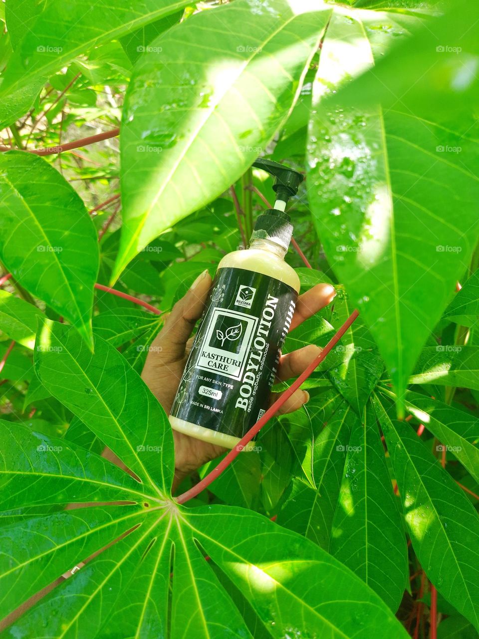 Bilesma natural kasthuri care body lotion.