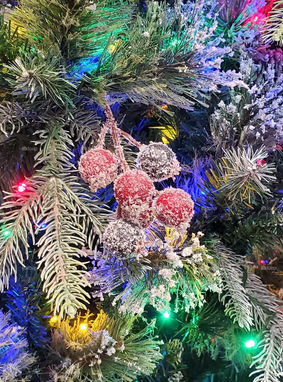 Berries on a Christmas Tree