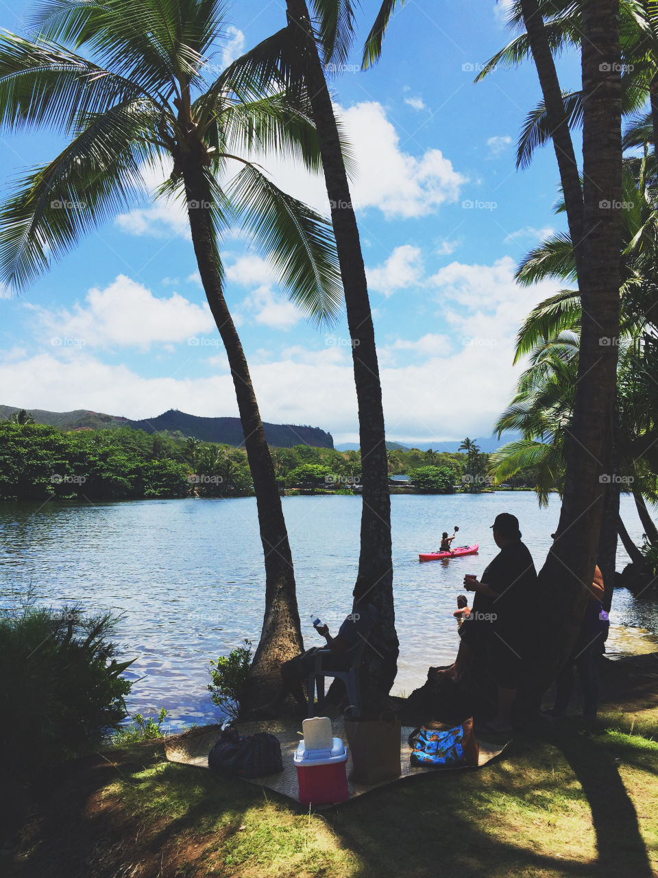 Summertime kayaking and coconut trees
