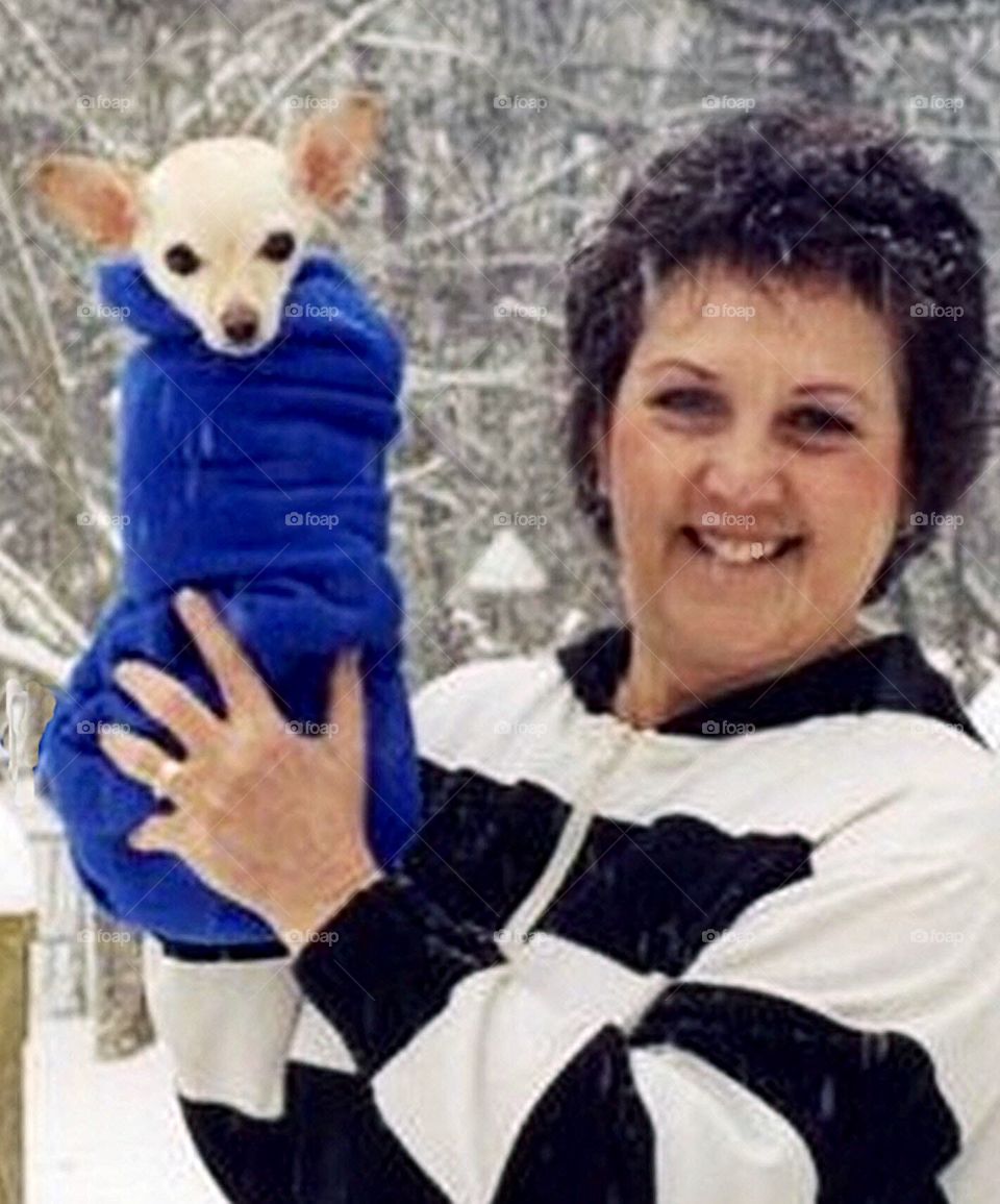 Chihuahua Puppy in Blanket in Snowstorm 