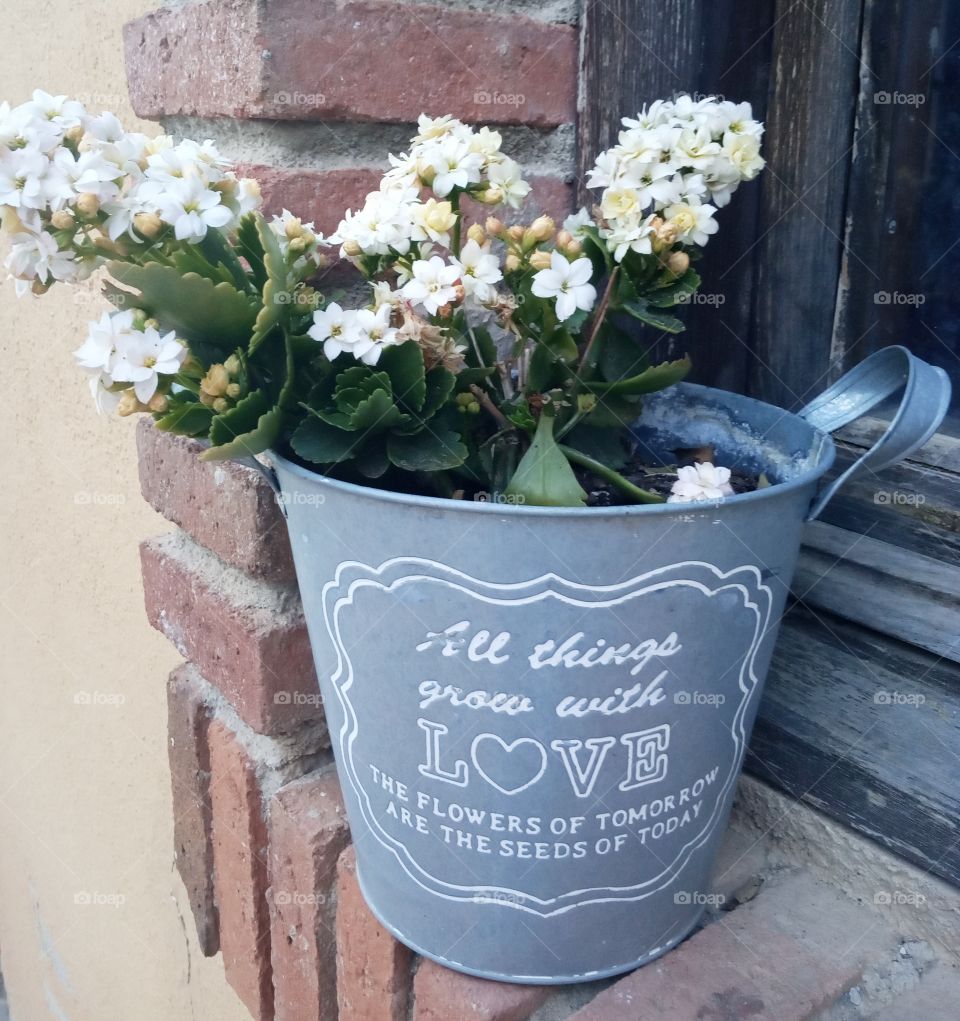 white flowers in a metallic vase with a message of wisdom